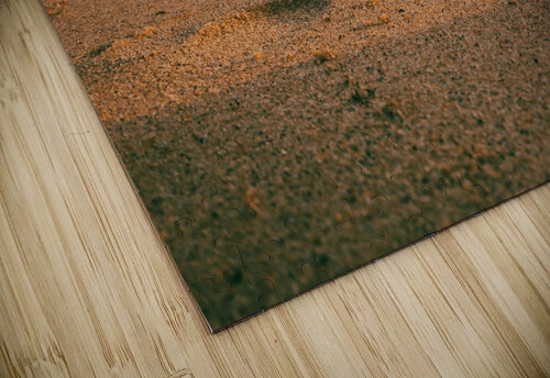 Low tide  DirtyBirdStudio puzzle