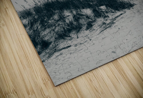 Wind Worn Beach DirtyBirdStudio puzzle