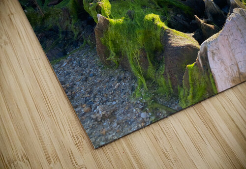 Mossy Stump DirtyBirdStudio puzzle