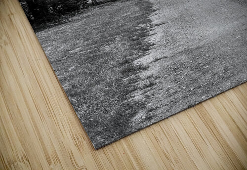 Old dirt path DirtyBirdStudio puzzle
