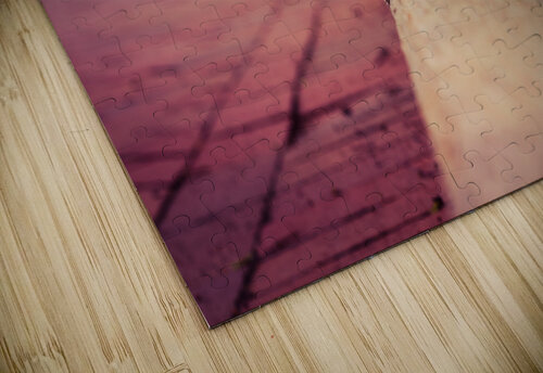 Street Walks DirtyBirdStudio puzzle