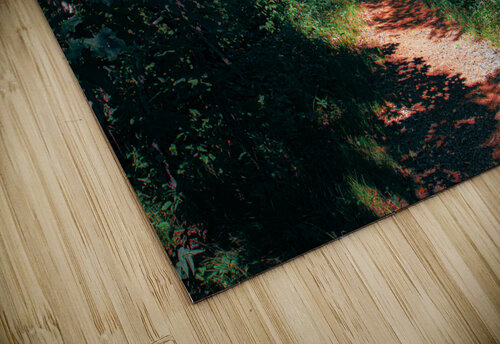 Path not Taken DirtyBirdStudio puzzle