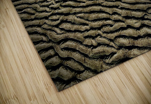 Changing Sands DirtyBirdStudio puzzle