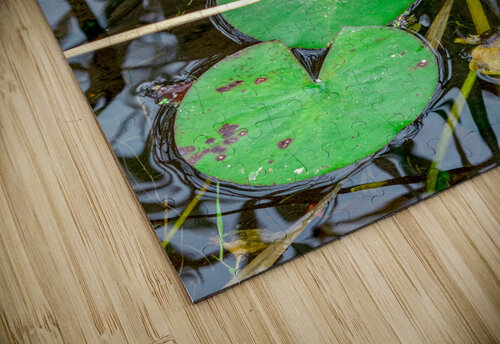 Lilly Pads DirtyBirdStudio puzzle