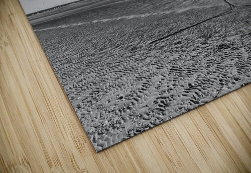 Lonely Beach DirtyBirdStudio puzzle