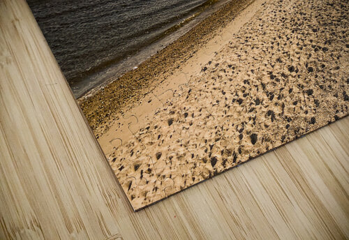 Cape Cod Bay DirtyBirdStudio puzzle