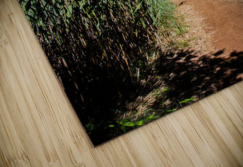 A patch in the woods DirtyBirdStudio puzzle