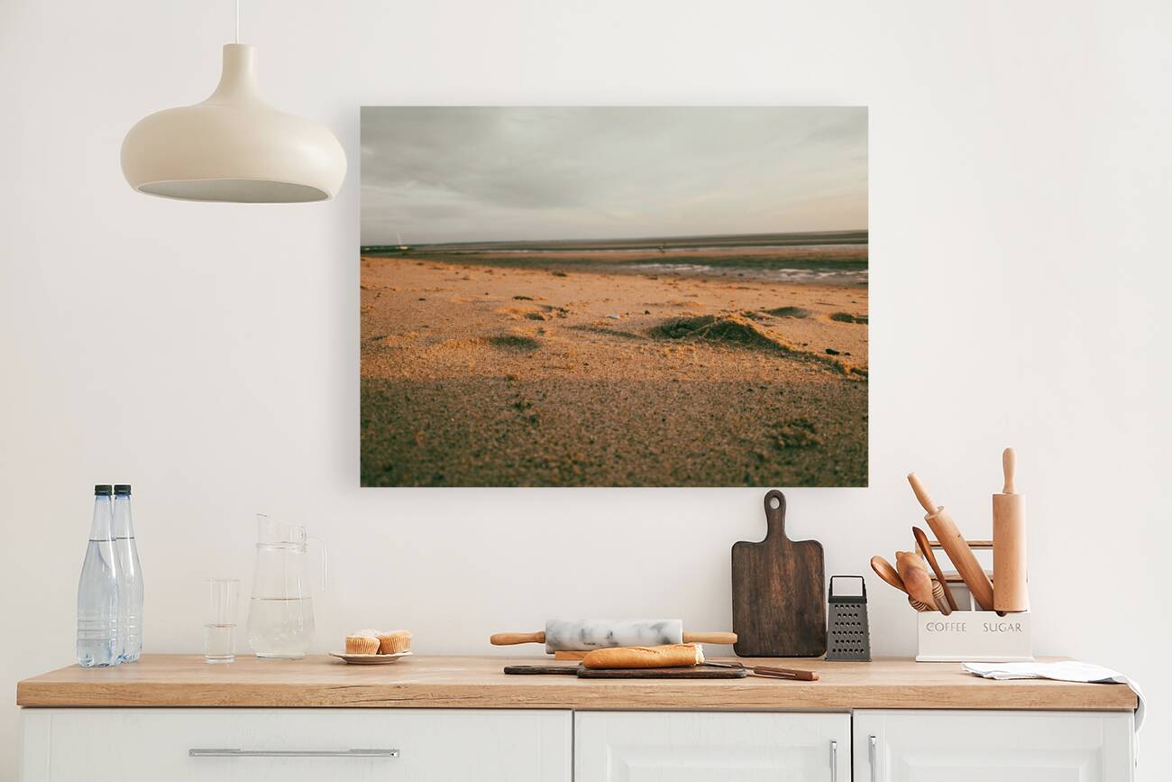 Low tide  Reproduction