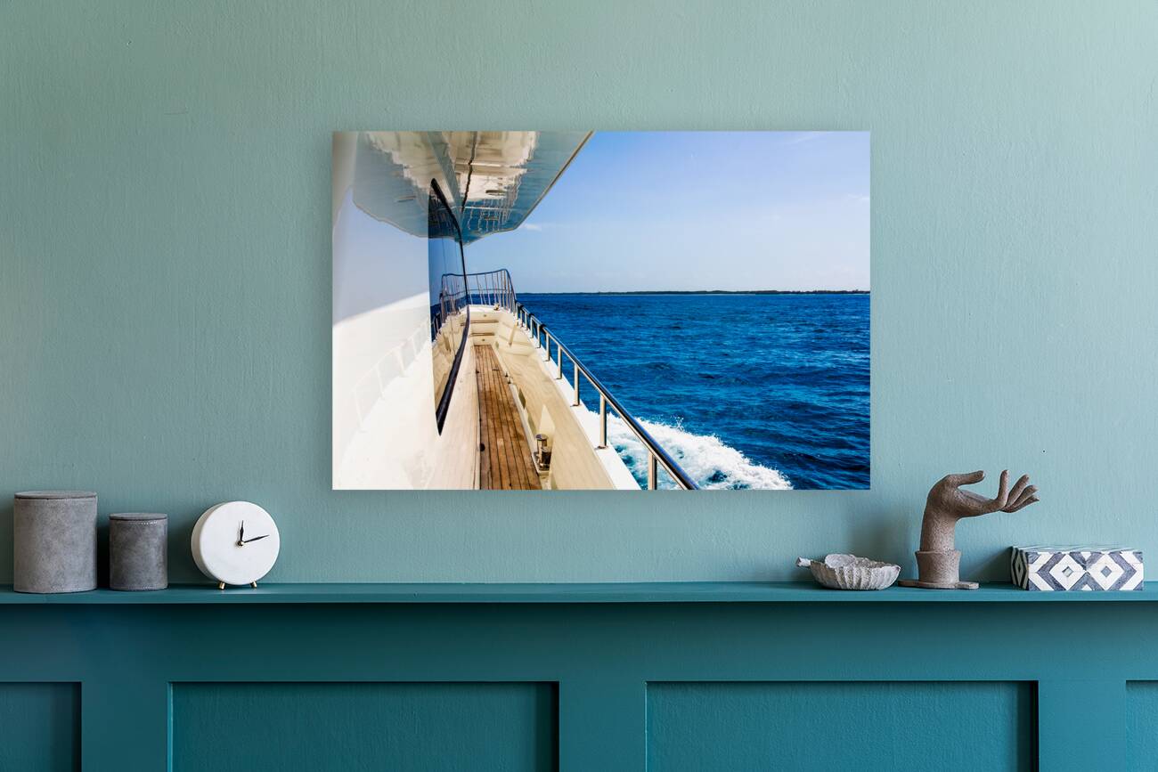 Boat View Reproduction