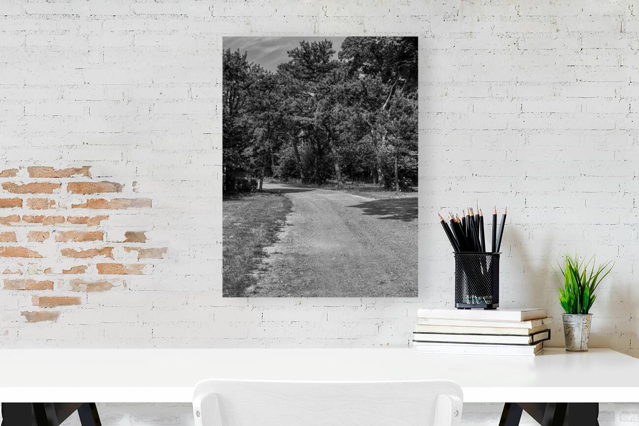 Old dirt path Reproduction