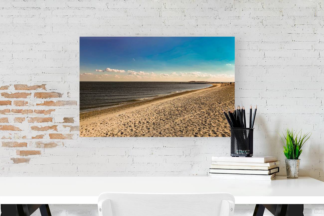 Cape Cod Bay Reproduction