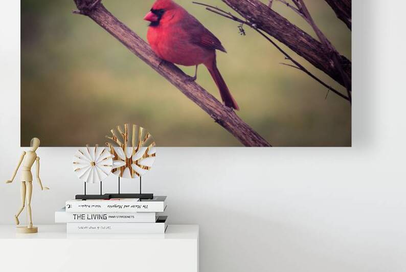 Bird Watch Reproduction