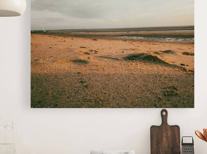 Low tide  Reproduction