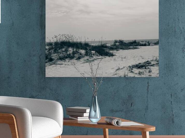Wind Worn Beach Reproduction