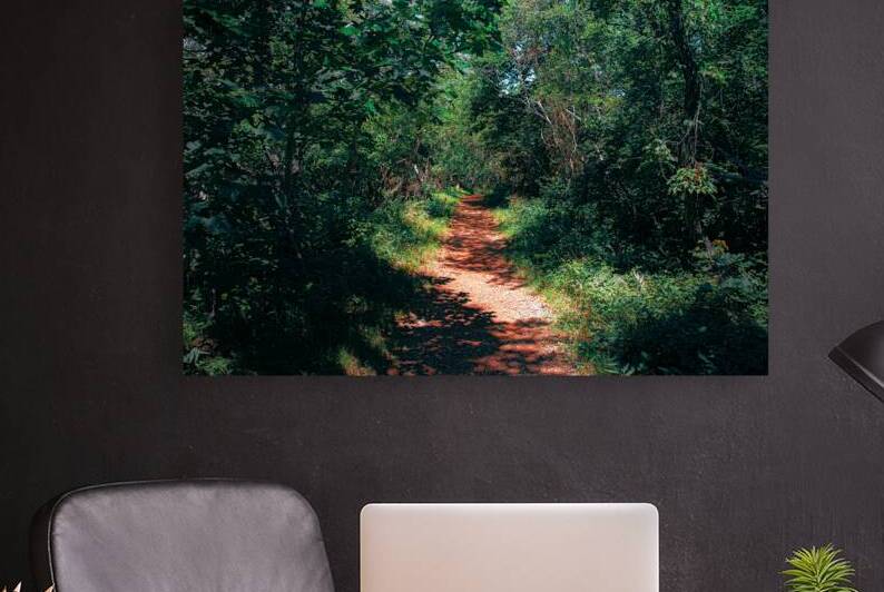 Path not Taken Reproduction