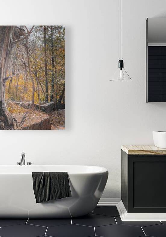 Autum Forest by DirtyBirdStudio