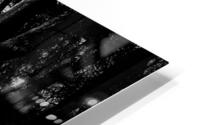 Witch Tree HD Metal print