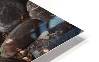 Rocks HD Metal print