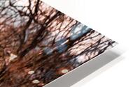 Winter Canon HD Metal print