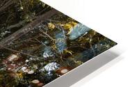 Mayan House HD Metal print