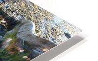 Mossy Stump HD Metal print