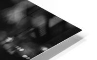 Black & White Flowers HD Metal print