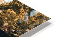 Garden Table HD Metal print