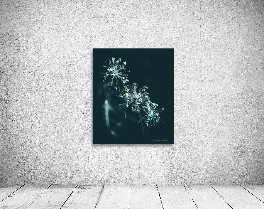 Three Sisters Flower Wall Preview