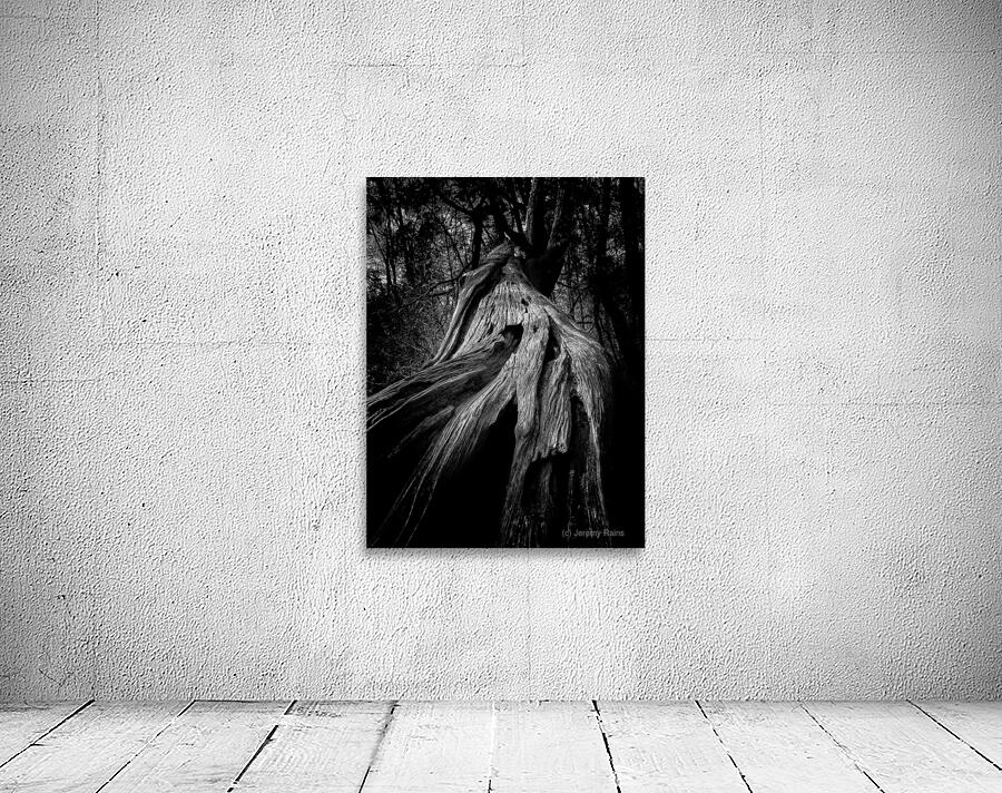 Witch Tree Wall Preview