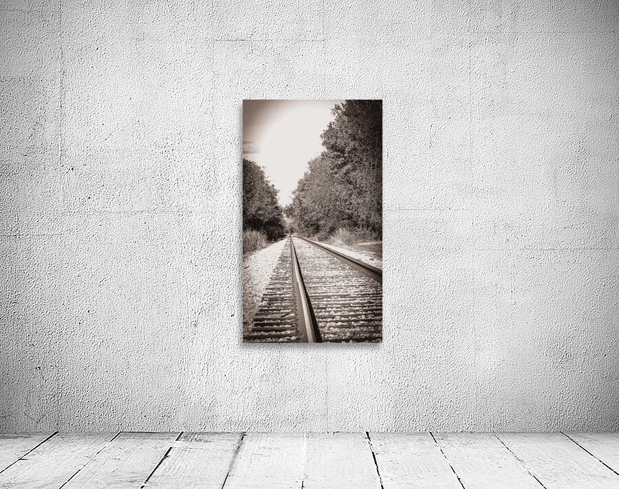 On the Tracks Wall Preview