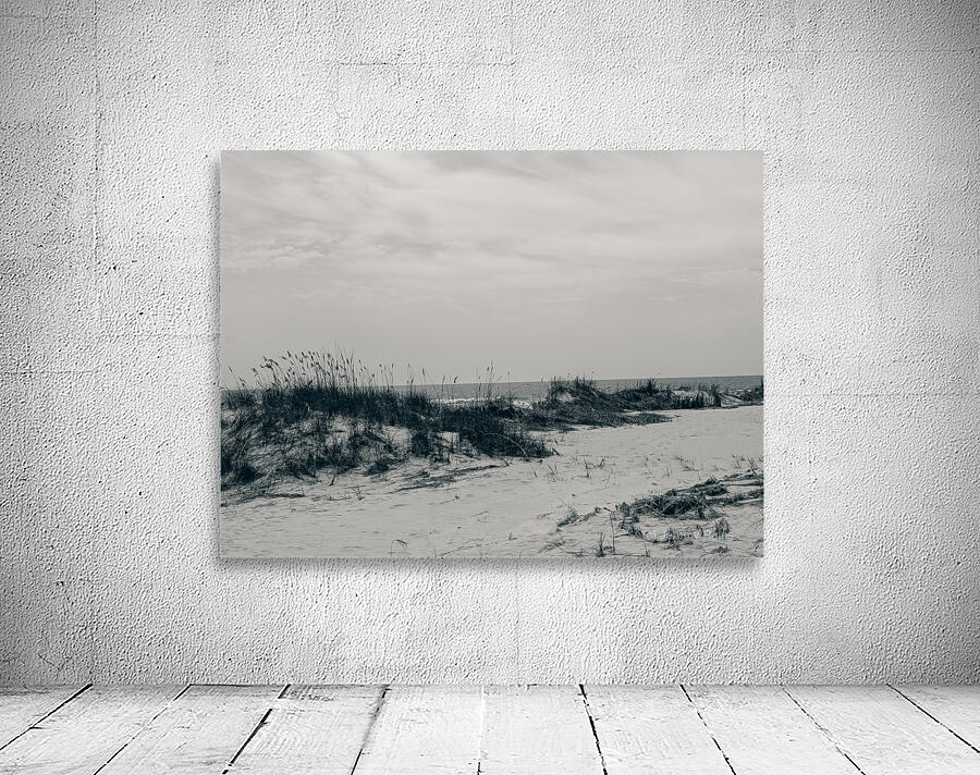 Wind Worn Beach Wall Preview