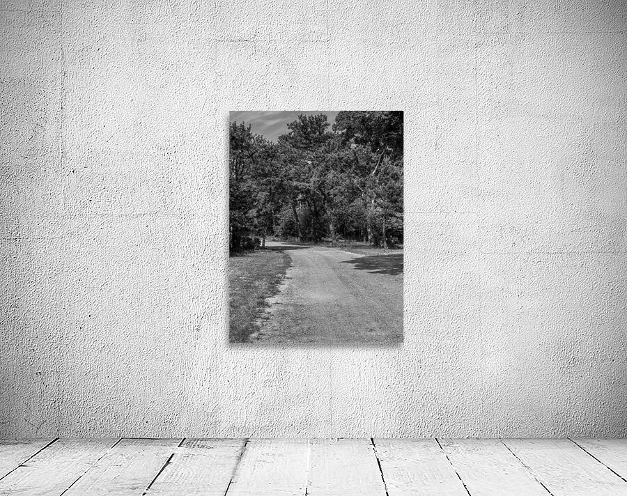 Old dirt path Wall Preview