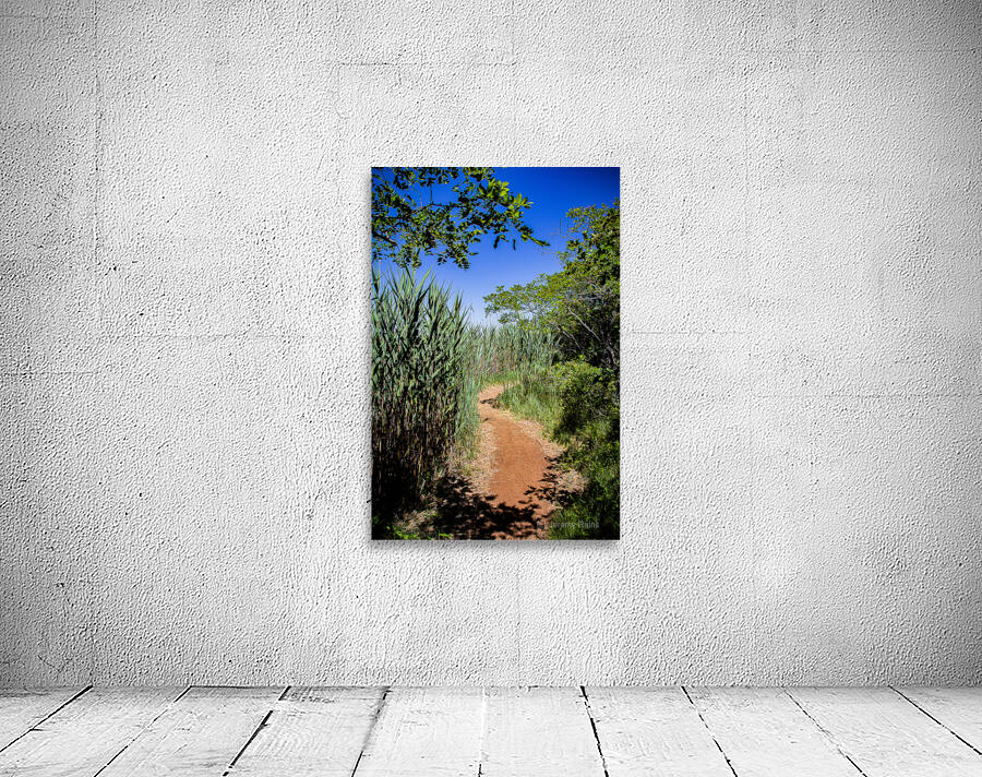 A patch in the woods Wall Preview