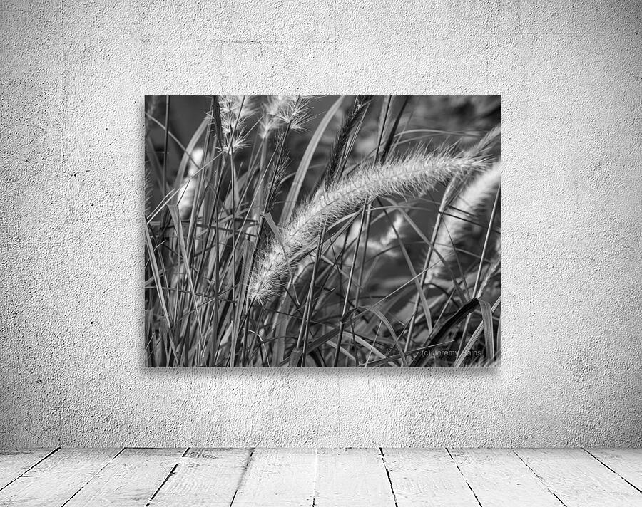 Grass BW Edit Wall Preview