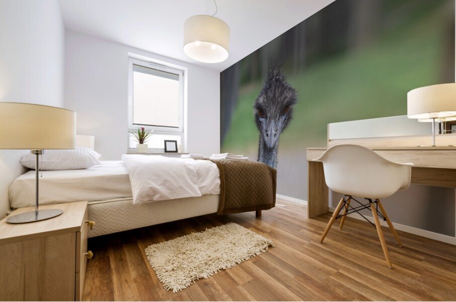 Curious Glance Mural print