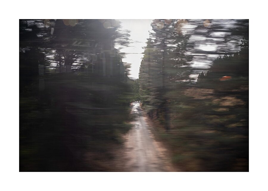 Rush Through the Pines Picture Frame print