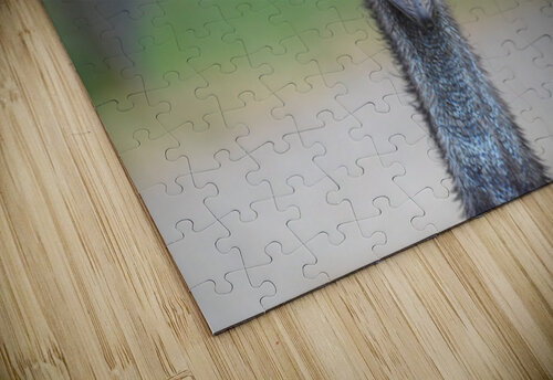 Curious Glance Malshantha puzzle