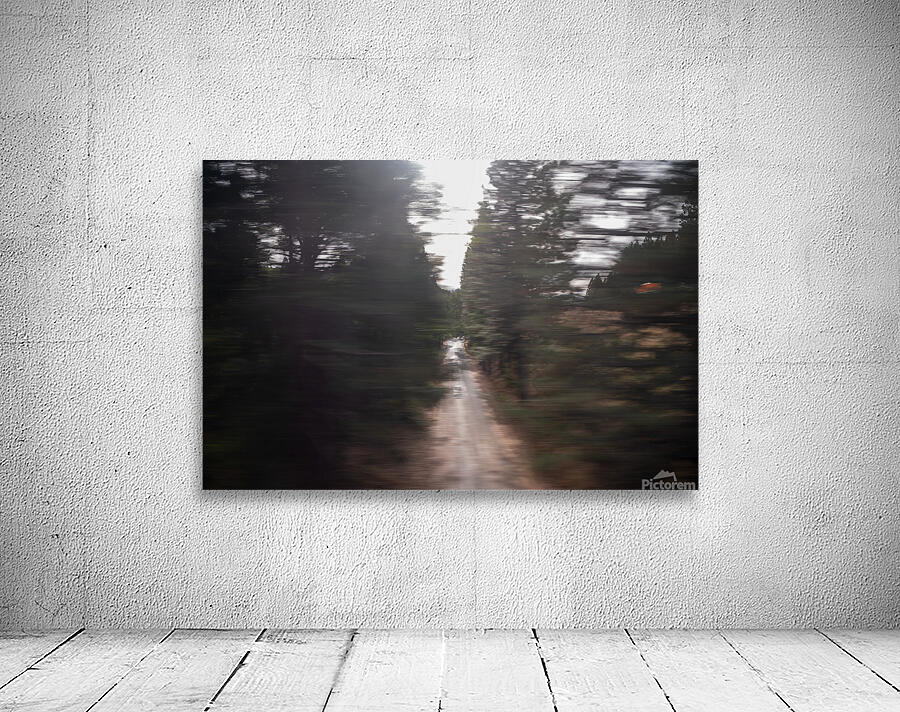 Rush Through the Pines Wall Preview