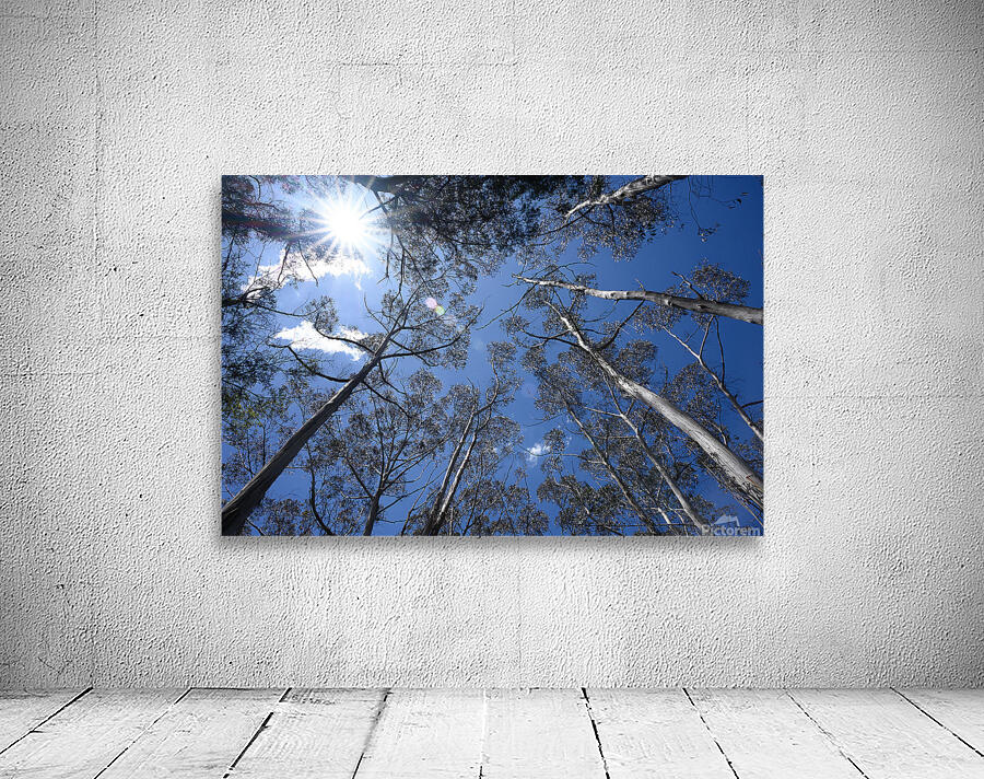 Skyward Light Wall Preview