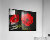 Les coquelicots Acrylic Print