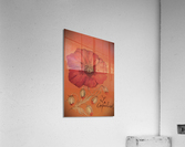 Le coquelicot Acrylic Print