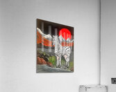 Le zebre Acrylic Print