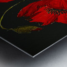 Les coquelicots Metal print