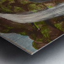 Naturelle Metal print
