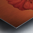 Le coquelicot Metal print