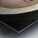 Trahie Metal print