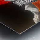 Le zebre Metal print