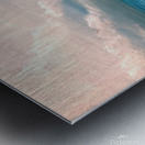 Flotter Metal print