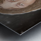 Reconfort Fee Metal print