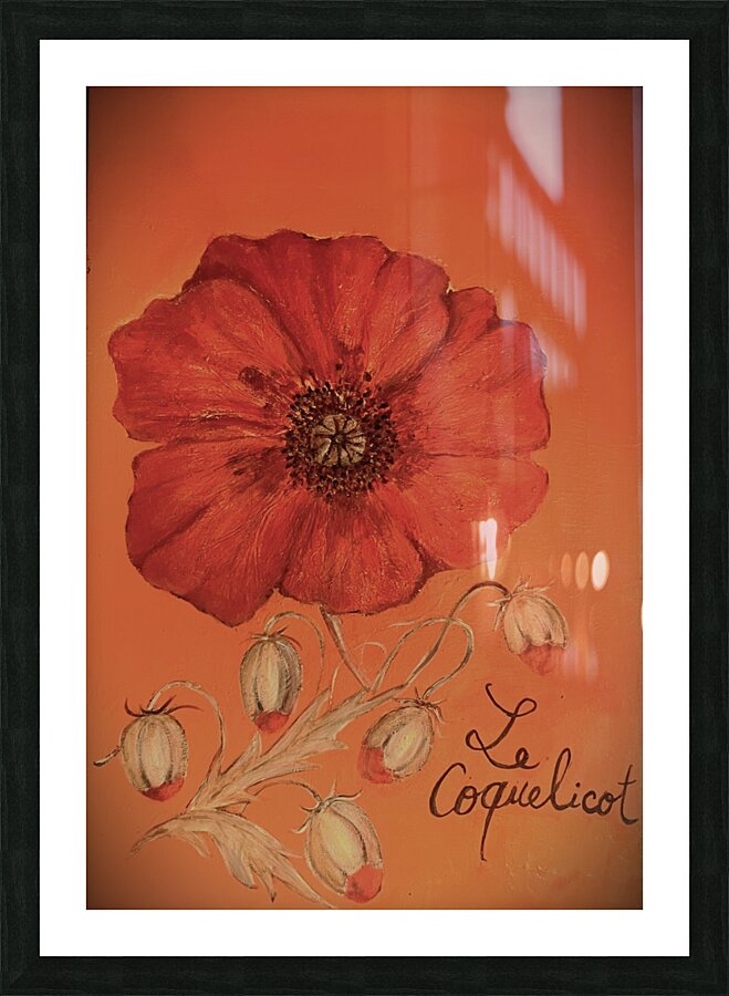 Le coquelicot Picture Frame print